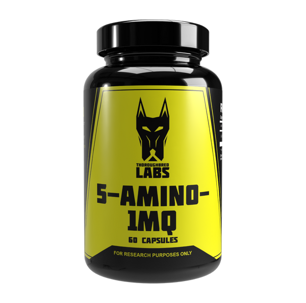 Flacon Thoroughbred Labs 5-Amino-1MQ, față
